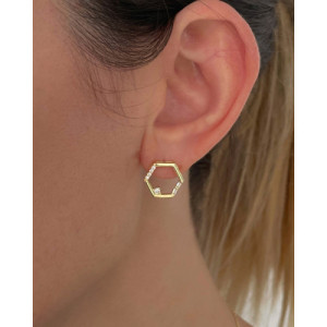 HEXAGON WITH WHITE SPARKLES EARRINGS